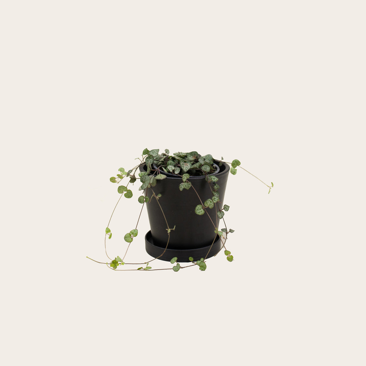 Load image into Gallery viewer, String of Hearts - Small (midnight)
