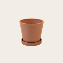 Load image into Gallery viewer, Ecopot - Small (terracotta)
