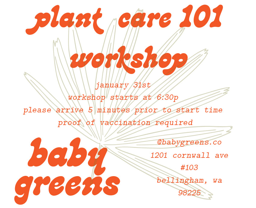 Plant 101 Workshop Ticket- Winter Edition